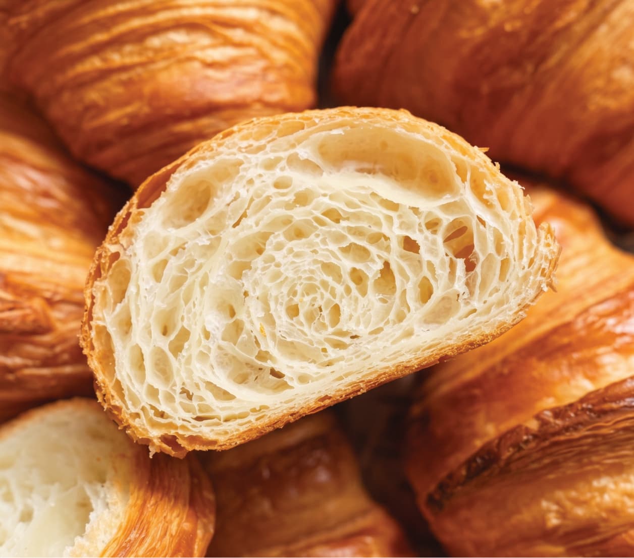 Butter Croissant